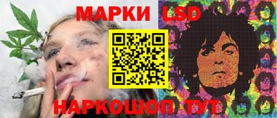 apvp Кингисепп