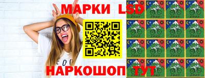 apvp Кингисепп