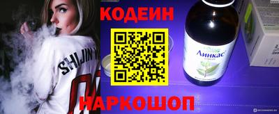 apvp Кингисепп